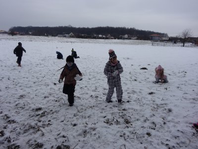 Obrázek 141676 
