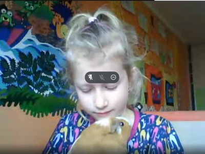Domácí mazlíčci