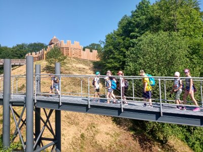 Obrázek 142851 