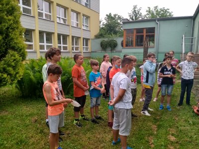 Obrázek 142990 