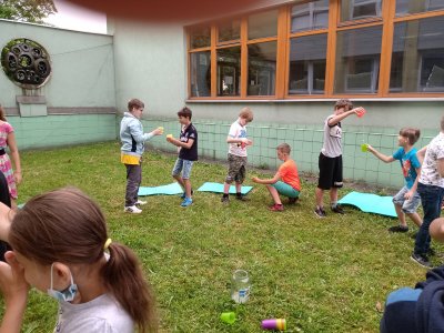 Obrázek 142998 