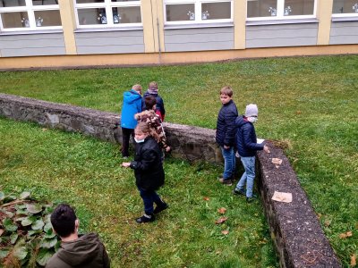 Obrázek 144897 