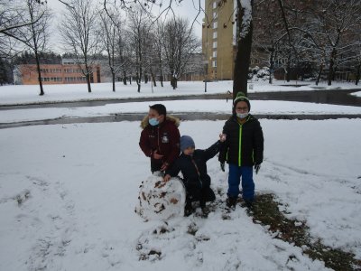 Obrázek 145638 