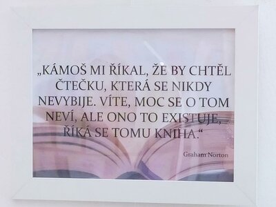 Obrázek 147377 
