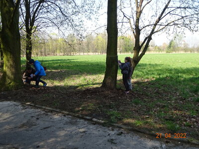 Obrázek 147629 
