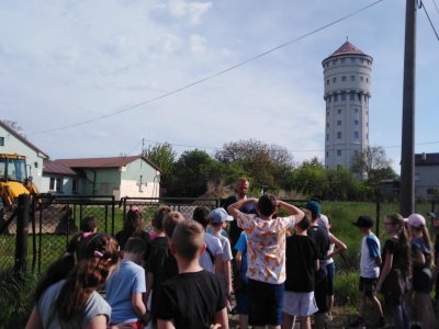 Obrázek 148296 