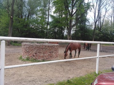 Obrázek 148306 