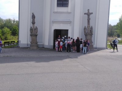 Obrázek 148311 