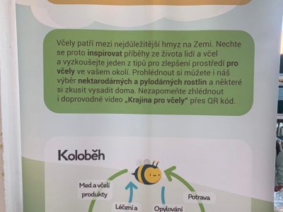 Včelí výstava