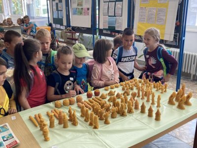 Včelařská výstava