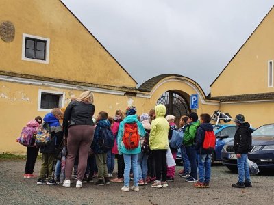 Obrázek 151038 