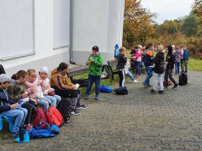Obrázek 151041 