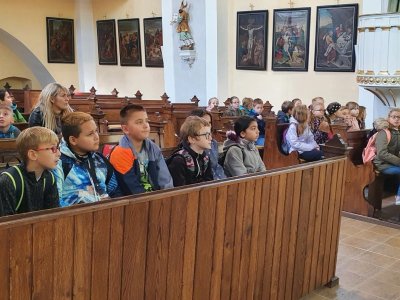 Obrázek 151042 