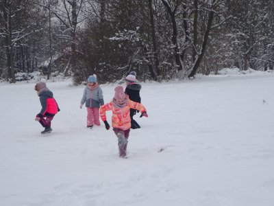 Obrázek 152121 