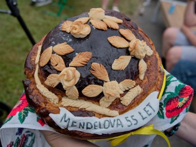 Obrázek 156336 
