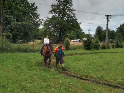 Obrázek 157423 