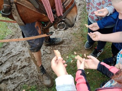 Obrázek 157413 