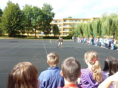 Obrázek 114845 