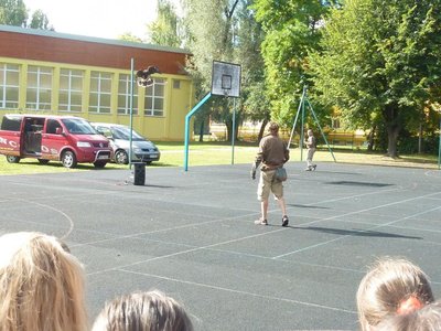 Obrázek 114857 