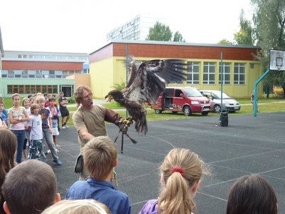 Obrázek 114870 