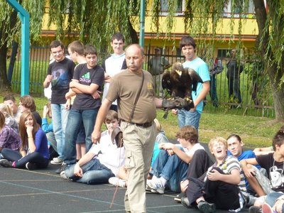 Obrázek 114876 