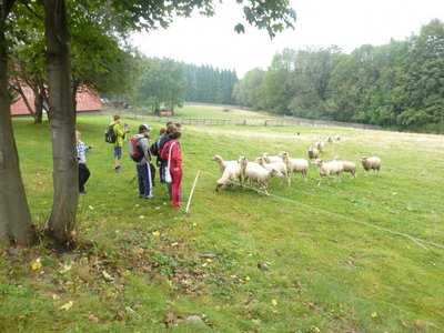 Obrázek 114739 