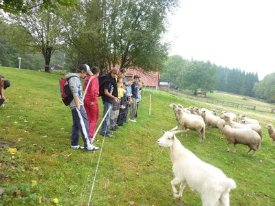 Obrázek 114740 