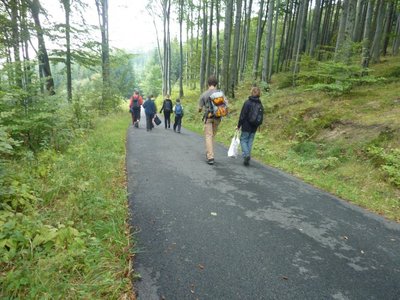 Obrázek 114785 