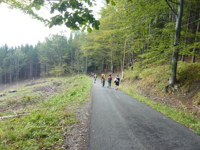 Obrázek 114787 