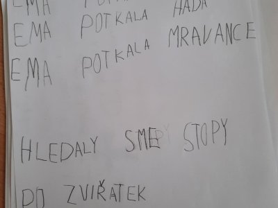 Obrázek 161429 