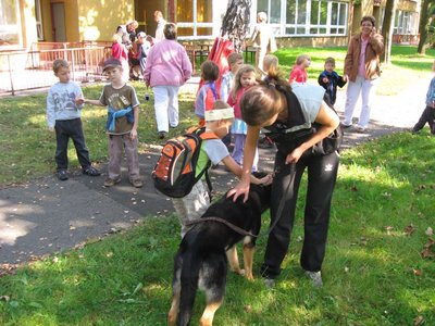 Obrázek 114543 