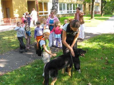 Obrázek 114544 