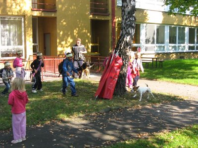 Obrázek 114556 