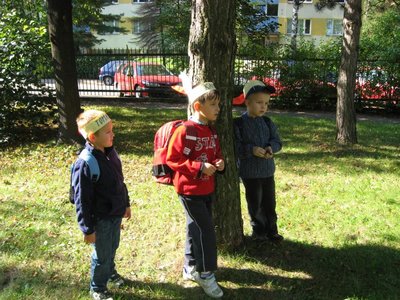 Obrázek 114558 