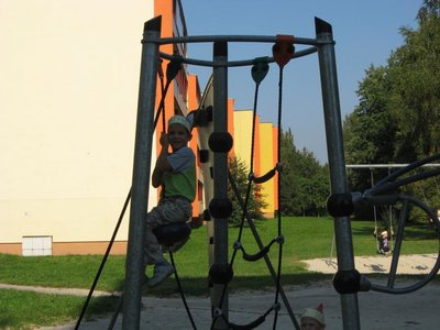 Obrázek 114566 