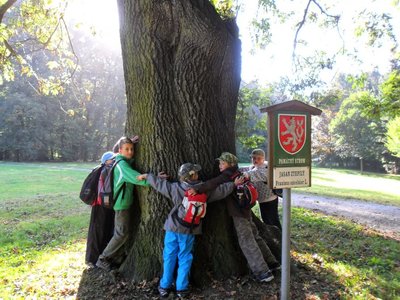 Obrázek 114452 