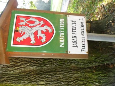 Obrázek 114457 