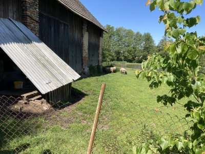 Obrázek 162961 