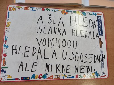Obrázek 163431 