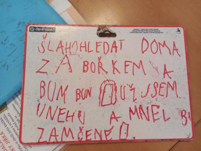 Obrázek 163438 