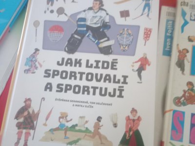 Obrázek 163445 