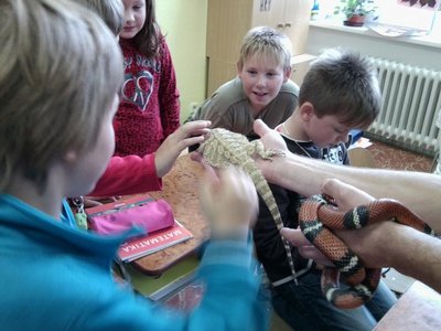 Obrázek 122333 