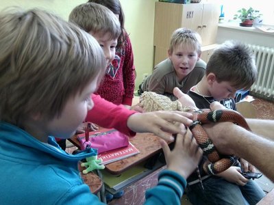Obrázek 122334 