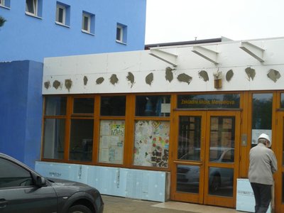 Obrázek 122723 