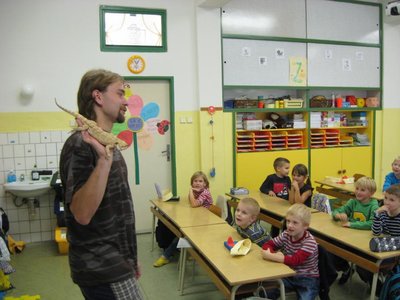 Obrázek 114211 