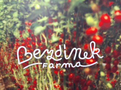 Farma Bezdínek