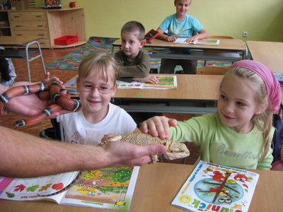 Obrázek 114062 