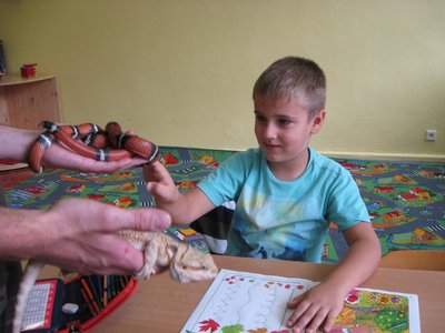 Obrázek 114065 