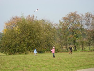 Obrázek 114020 