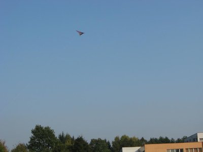 Obrázek 114024 